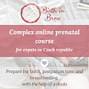 complex online prenatal class czechia