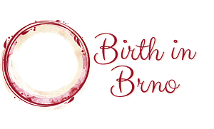 Read more about the article The idea behind Birth in Brno project