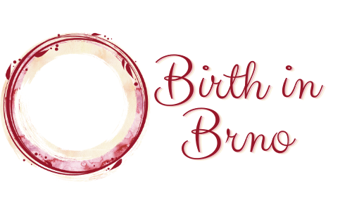 You are currently viewing The idea behind Birth in Brno project