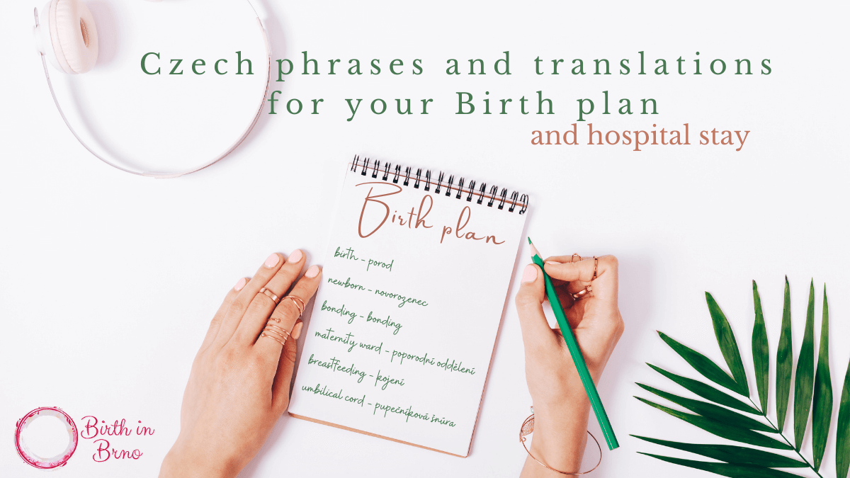 You are currently viewing Czech phrases and translations for the birth plan